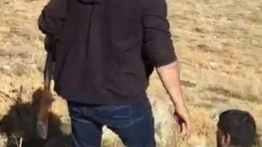 Elazığ'da yasa dışı avlanan 2 kişiye ceza kesildi, 2 otomatik tüfeğe el konuldu