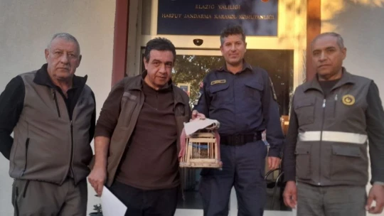 Elazığ'da yasadışı avcılık yapan şahsa idari işlem uygulandı