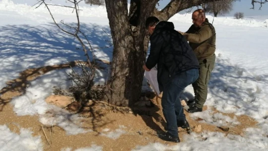 Elazığ'da yemleme çalışmaları sürüyor