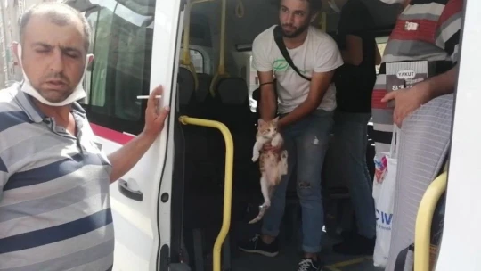Elazığ'da Toplu Taşıma Kullanan Kedi Minibüsle Çarşıya Geldi