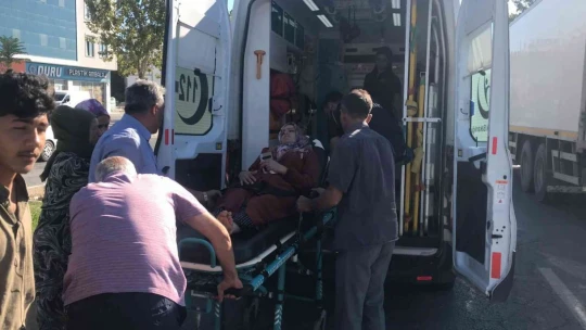Elazığ'da yolun karşısına geçen kadına çarpan sürücü kaçtı