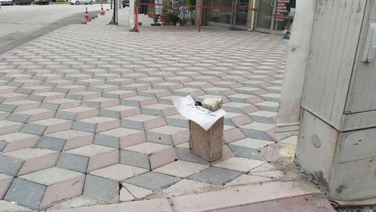 Karıncalar ezilmesin diye kaldırıma not bıraktı