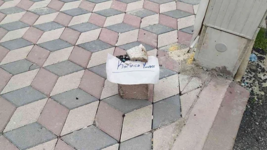 Karıncalar ezilmesin diye kaldırıma not bıraktı