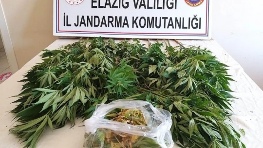Zehir tacirlerine operasyon, 17 kilo esrar ele geçirildi