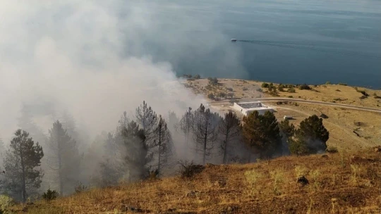 Elazığ'daki orman yangını söndürüldü
