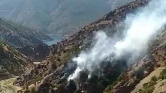 Elazığ'daki orman yangınına yönelik müdahale sürüyor