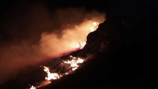Elazığ'daki örtü yangını rüzgarın etkisiyle yeniden alevlendi
