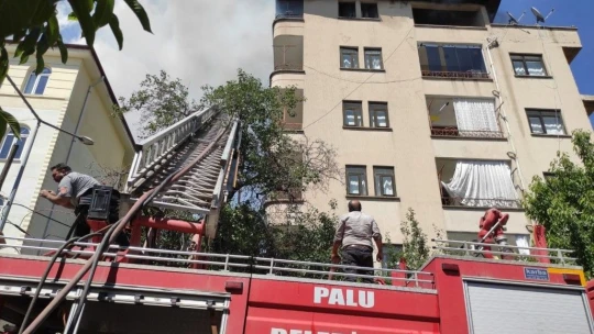 Palu'daki yangın söndürüldü