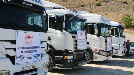 Keban'dan 18 kente 12 milyon yavru sazan balığı gönderildi