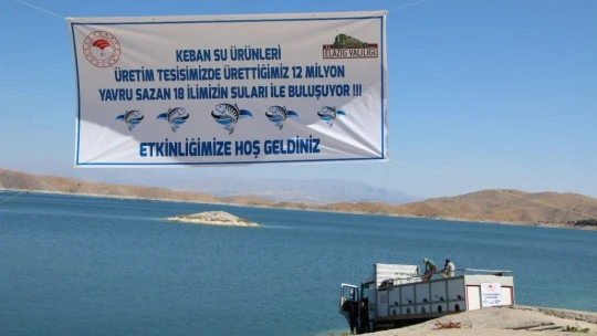 Keban'dan 18 kente 12 milyon yavru sazan balığı gönderildi