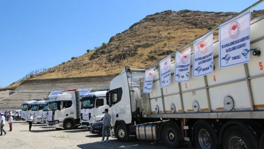 Keban'dan 18 kente 12 milyon yavru sazan balığı gönderildi