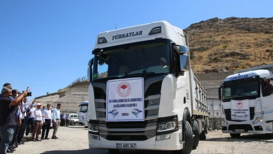 Keban'dan 18 kente 12 milyon yavru sazan balığı gönderildi