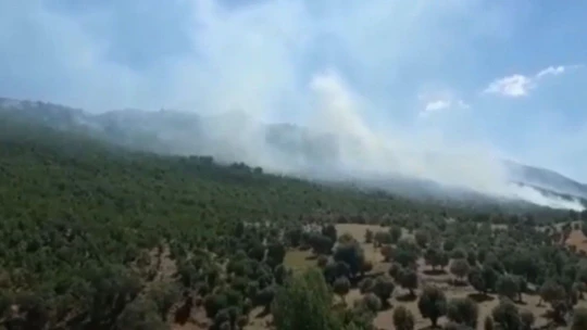 Elazığ-Diyarbakır arasında orman yangını söndürme çalışmaları sürüyor