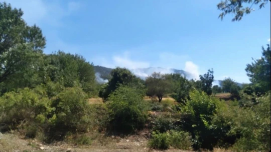 Elazığ-Diyarbakır arasında orman yangını söndürme çalışmaları sürüyor