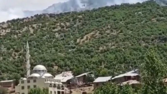 Elazığ-Diyarbakır arasında orman yangını söndürme çalışmaları sürüyor