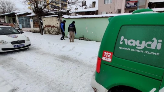 Elazığ HAYDİ ekibi sokak hayvanlarını unutmadı