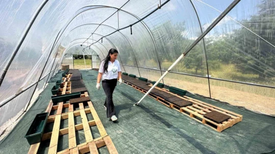 Elazığ Hipodrom Müdürlüğünün üreteceği binlerce çiçek hipodromları renklendirecek