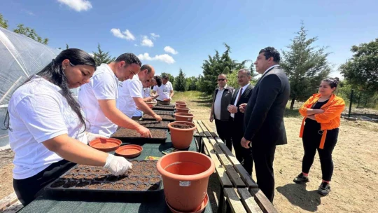 Elazığ Hipodrom Müdürlüğünün üreteceği binlerce çiçek hipodromları renklendirecek