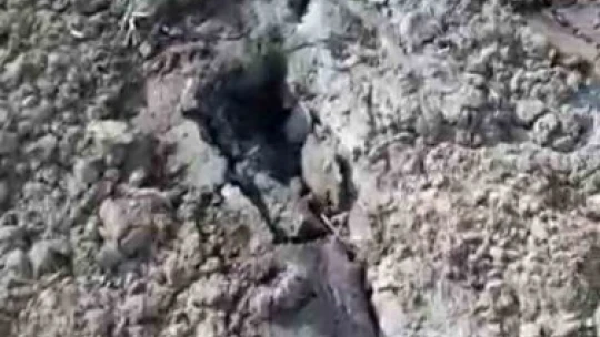 Elazığ'ı tedirgin eden görüntü: Zemin sıvılaşması Palu'da da görüldü