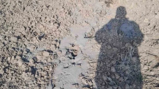 Elazığ'ı tedirgin eden görüntü: Zemin sıvılaşması Palu'da da görüldü