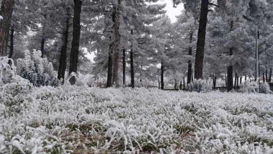 Elazığ'ın bir ilçesinde kırağı ve don etkili oldu