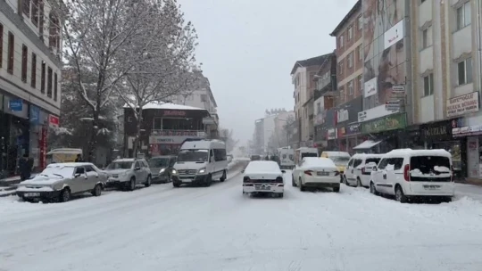 Elazığ'ın ilçelerinde kar yağışı etkili oldu