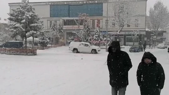Elazığ'ın ilçelerinde kar yağışı etkili oldu