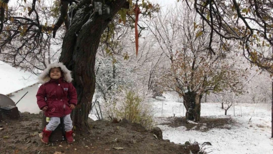Elazığ'ın yüksek kesimlerinde kar etkili oldu
