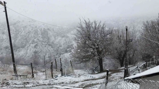 Elazığ'ın yüksek kesimlerinde kar etkili oldu