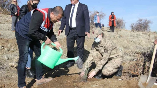 Elazığ Jandarma, Harput Mahallesine 2 bin fidan dikti