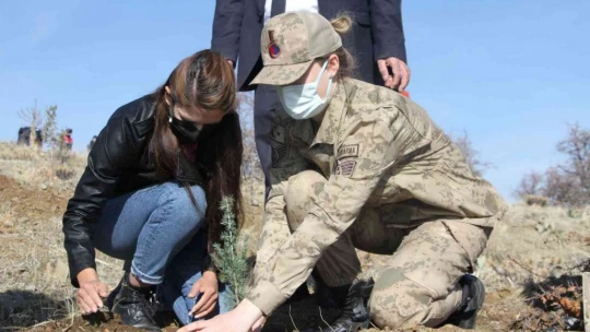 Elazığ Jandarma, Harput Mahallesine 2 bin fidan dikti
