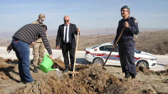 Elazığ Jandarma, Harput Mahallesine 2 bin fidan dikti