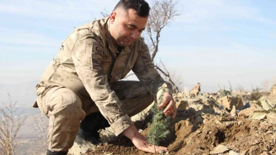 Elazığ Jandarma, Harput Mahallesine 2 bin fidan dikti