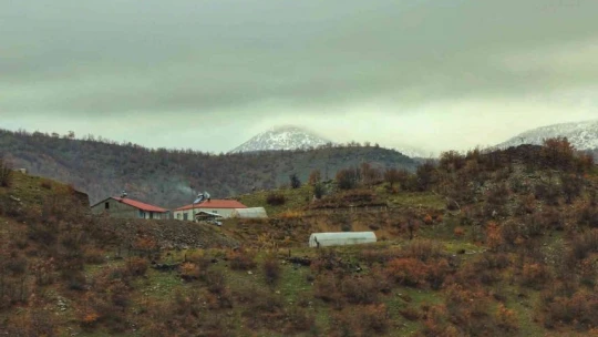 Elazığ-Tatvan arası tren yolculuğundan muhteşem kış manzaraları