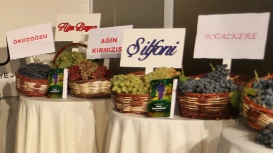 Elazığ Üzüm Festivali Koşusu Pamukkale'nin