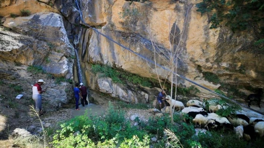 Keban'da Sıcaktan Bunalan Kuzulara Şelale Banyosu