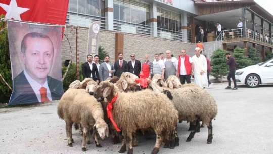 Elazığlı iş adamı, yeniden seçilen Cumhurbaşkanı Erdoğan için 20 adak kurbanı kesti