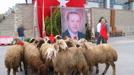 Elazığlı iş adamı, yeniden seçilen Cumhurbaşkanı Erdoğan için 20 adak kurbanı kesti