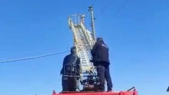 Elektrik direğinde mahsur kalan kedi kurtarıldı