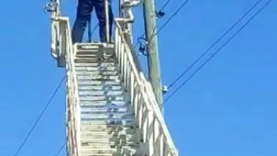 Elektrik direğinde mahsur kalan kedi kurtarıldı