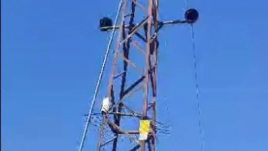 Elektrik tellerine çarpan kargalar nedeniyle alev alan tarla, vatandaşlar tarafından söndürüldü