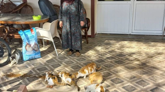 Evinin bahçesinde 30 kediye bakan Zahide nineye İl Özel İdare ekiplerinden mama desteği
