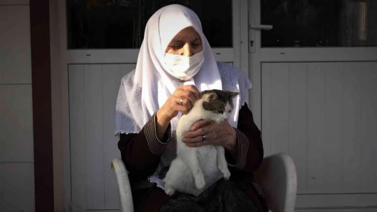 Evinin bahçesinde 30 kediye bakan Zahide nineye İl Özel İdare ekiplerinden mama desteği