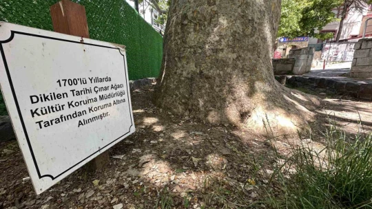 Evliya Çelebi gölgesinde not almıştı, ağırlığını kaldıramayınca güçlendirildi