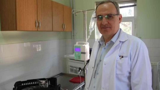 Fırat Üniversitesi Hayvan Hastanesi'nde bir yıl 7 bin 600 hayvan tedavi edildi