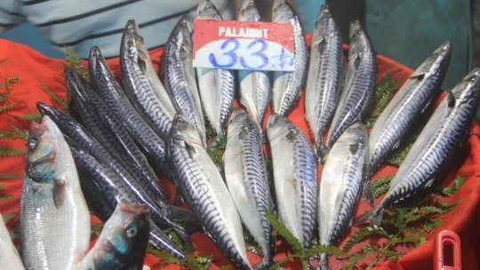 Fiyatlardaki düşüş, balıkçıların yüzünü güldürdü