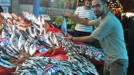 Fiyatlardaki düşüş, balıkçıların yüzünü güldürdü