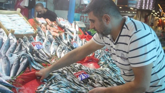 Fiyatlardaki düşüş, balıkçıların yüzünü güldürdü
