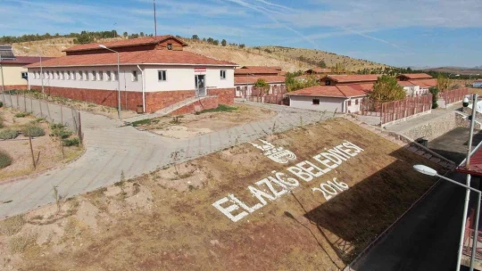 Geçici Hayvan Bakımevi Rehabilitasyon Merkezi'nde 5 yılda 8 bin hayvan tedavi edildi