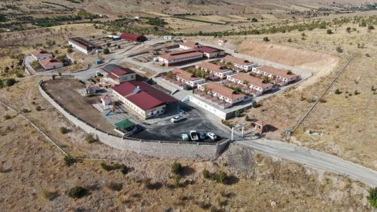 Geçici Hayvan Bakımevi Rehabilitasyon Merkezi'nde 5 yılda 8 bin hayvan tedavi edildi